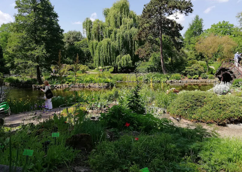 Botanical Garden of the University of Wrocław, Poland